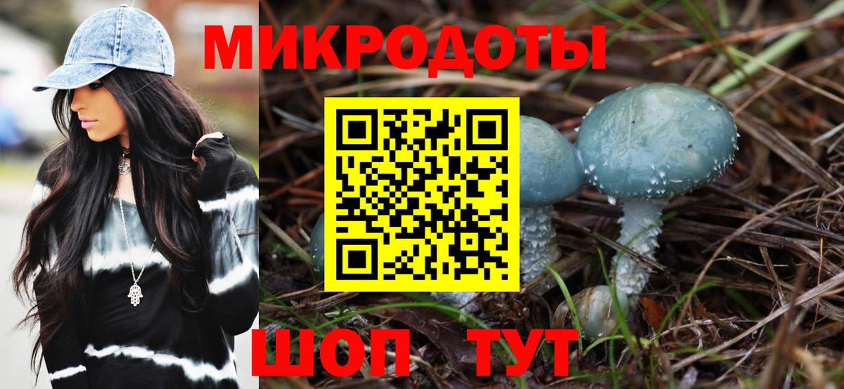 Галлюциногенные грибы Cubensis Гусь-Хрустальный